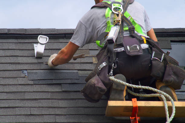 Best Roof Maintenance Services  in Romeovle, IL
