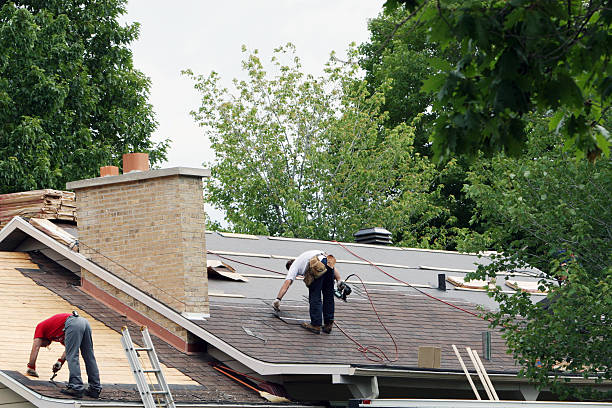Best Flat Roof Repair Services  in Romeovle, IL