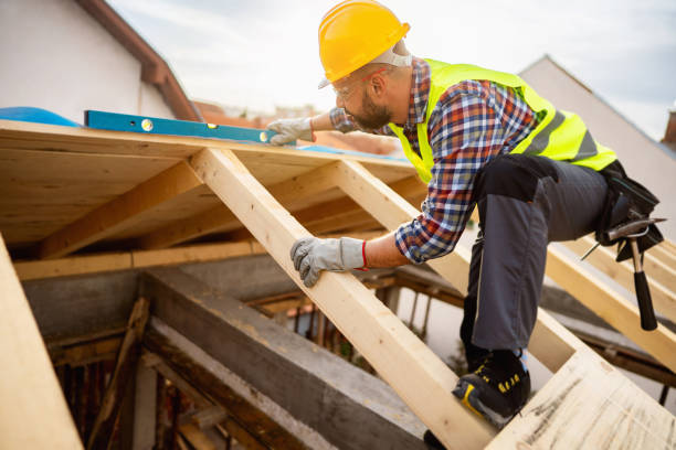 Best Roof Maintenance Services  in Romeovle, IL